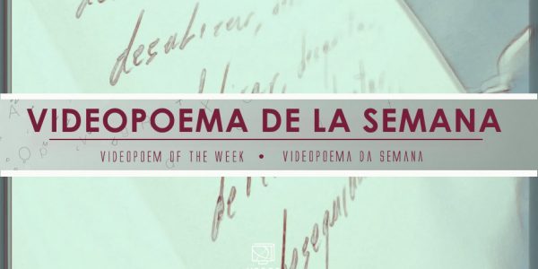 Desprendimiento – Lola López-Cózar