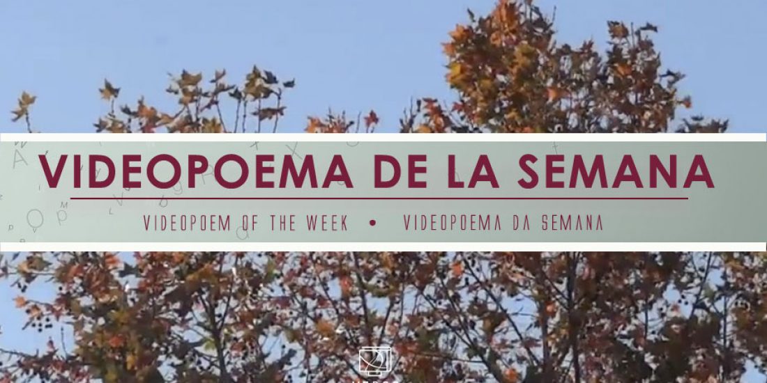 Las hojas – Daniel Cuberta