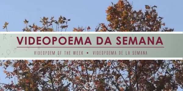 Las hojas – Daniel Cuberta