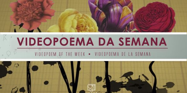 Journey up the Amazon – Martha McCollough