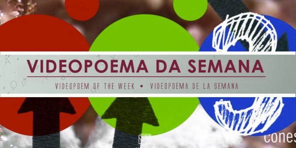 The mantis shrimp – Dave Richardson