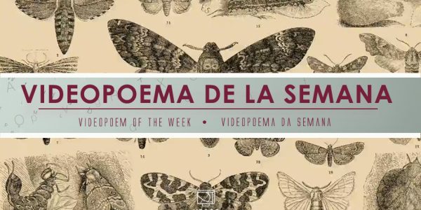 Dictionary Illustrations – Marie Craven