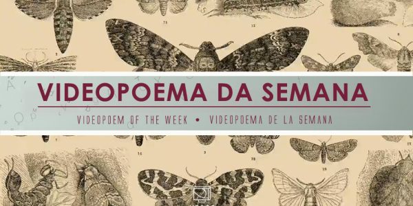 Dictionary Illustrations – Marie Craven