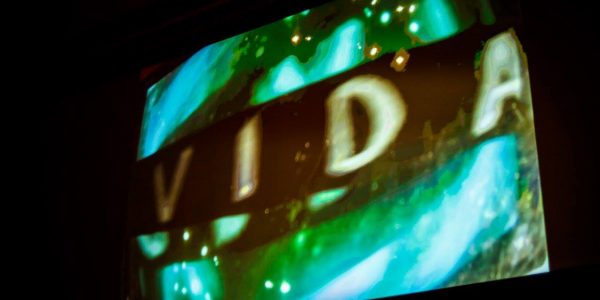 VIDA: collective videopoem