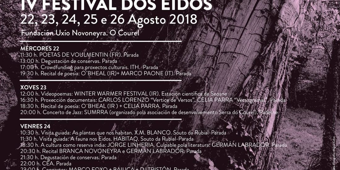 Versogramas en Festival dos Eidos