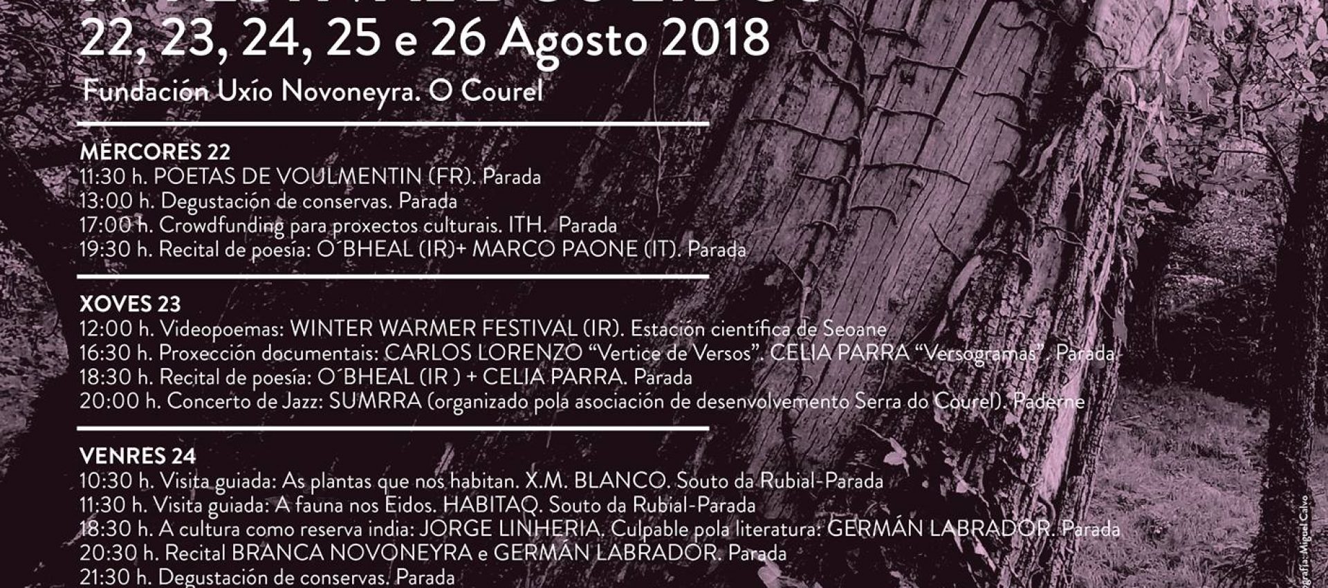 Versogramas en Festival dos Eidos