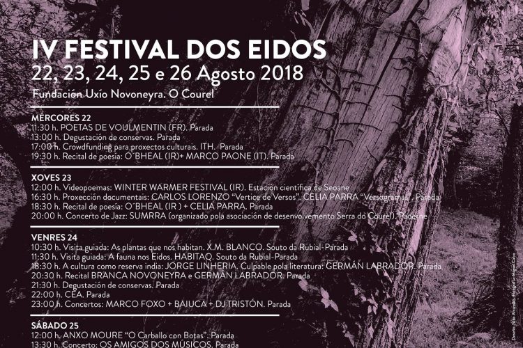 Versogramas en Festival dos Eidos