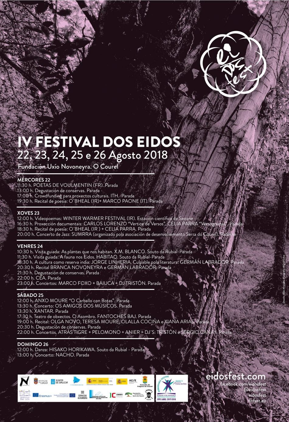 Versogramas en Festival dos Eidos