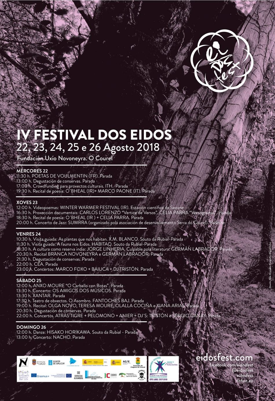 Versogramas no Festival dos Eidos